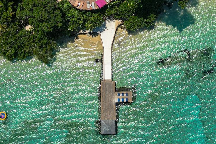 pexels-backpackready-16181426