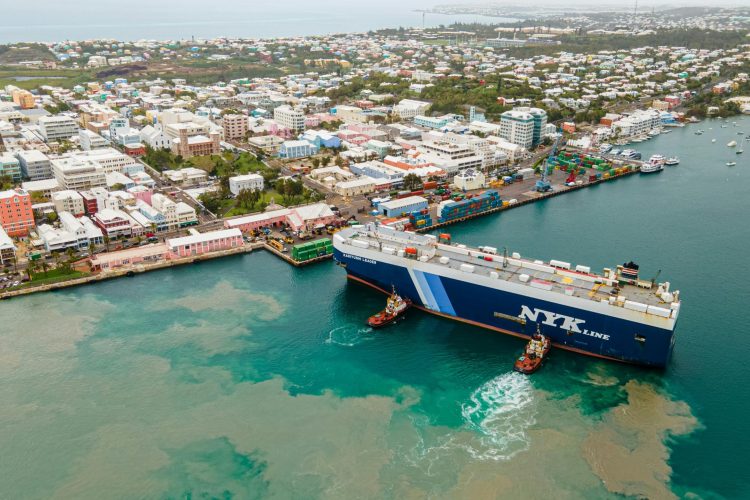 pexels-brandon-morrison-119560-7392726