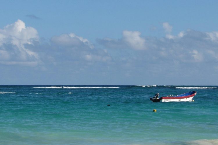 pexels-romina-pachalian-1377259174-30507062